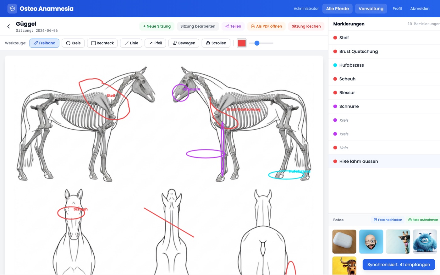Annotation-Editor: Befunde direkt am Pferdebild markieren